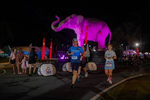 BIB: 
                            <button type="button" onclick="openModal(26552185)" class="btn btn-primary btn-sm float-right btn-popup" data-toggle="modal" data-target=".modal-high-quality">
                        <i class="fas fa-shopping-cart"></i> Add to Cart
                    </button>
                                            <button type="button" onclick="isThisMe(26552185, true)" class="btn btn-success btn-sm float-right btn-popup btn-isme hidden" data-toggle="tooltip" data-placement="bottom" title="นี่คือรูปของคุณใช่ไหม คลิกที่นี่เพื่อเอาเข้าอัลบั้ม">
                        <i class="fas fa-plus"></i> Add to album
                    </button>
                    <button type="button" onclick="isThisMe(26552185, false)" class="btn btn-warning btn-sm float-right btn-popup btn-isnotme hidden">
                        <i class="fas fa-ban"></i> Remove from album
                    </button>